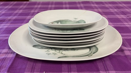 Splendido servizio piatti - splendido,