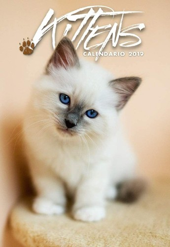 Gattini kittens calendario - gattini,