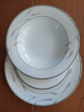 Servizio di piatti + caffè