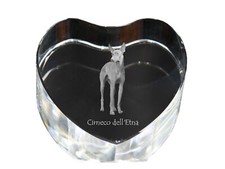 Cirneco dell etna hundebild - cirneco,