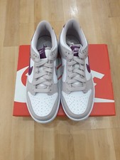 Nike Dunk Low Platinum