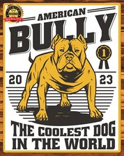 American Bully - The Coolest