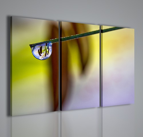 Quadro moderno flower - quadro,