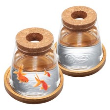  2 pezzi di piante terrario piante idroponiche vaso di propagazione vaso