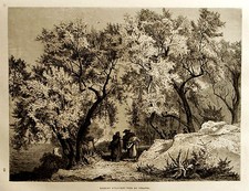 1877 aquila bosco - 1877:l'aquila.bosco, di