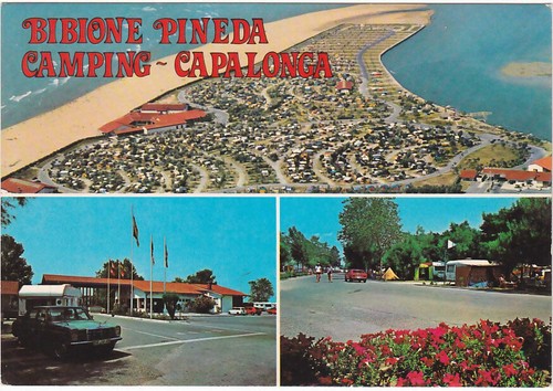 Bibione pineda venezia - pineda,