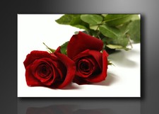 Quadro su tela Quadri moderni