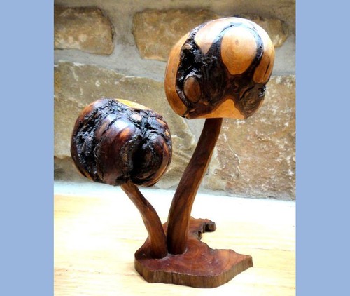 Funghi legno intagliato - in,