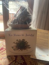 La rosa di Jericho.  Simbolo di serenità, prosperità e buona sorte. Datata