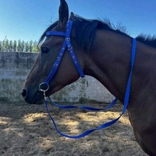 Briglia per cavalli Imbracatura per redini per cavalli Testiera Cavezza