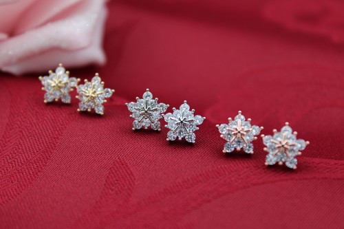 Orecchini stelle inverno