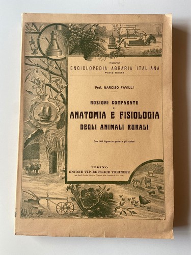 Favilli nozioni comparate - nozioni, di