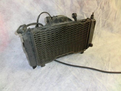 Radiatore acqua yamaha tdm - radiatore,
