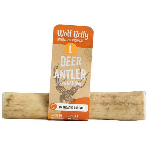 Wolf belly corno - belly, per