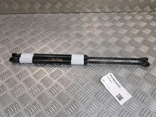 Set pistoni portellone - set,
