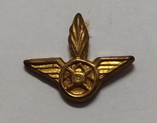 Distintivo spilla autieri - /,