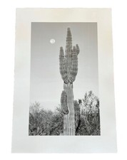 GIGANTE Saguaro Cactus 13x19