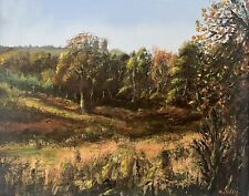 Santuario Bolderwood-completamente Plein Air, dipinto olio 20x16” in tela New Forest