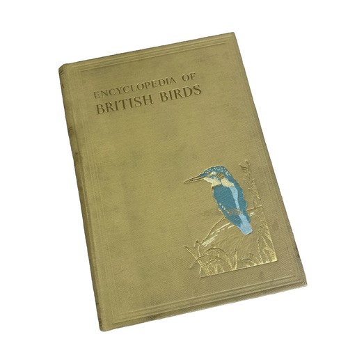 Encyclopedia british birds - encyclopedia, of