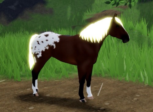 Wild horse islands iuh pietra - horse,
