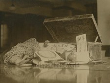 Still Life Con Pesca Gear Box