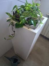 Vaso Serralunga Modello Bocchietto