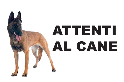 Cartello attenti cane in - attenti, al
