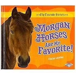 Morgan horses are favorite - morgan,