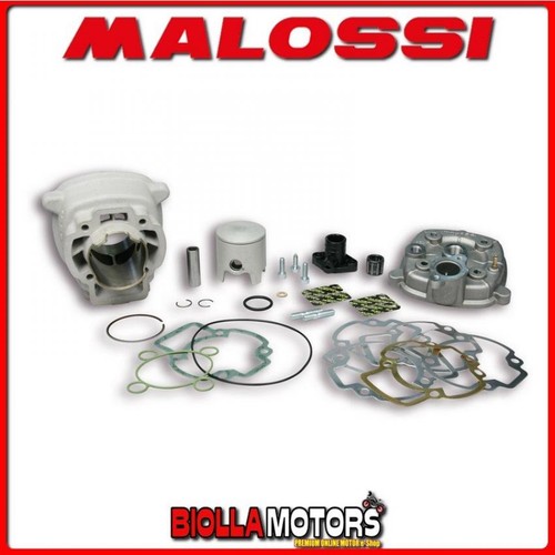 318455 gruppo termico malossi - gruppo,