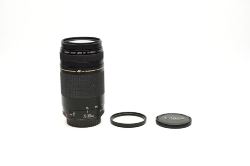 Canon 300 4 5 6 - 75-300, ii