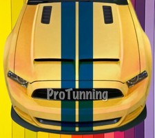 Strisce Adesiva Cofano Fasce