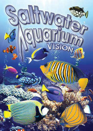 Salt water aquarium vision - salt,