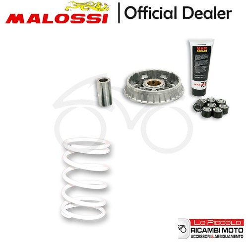 Kit variatore malossi - variatore,