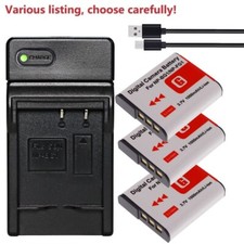 NP-BG1 NP-FG1 batteria o
