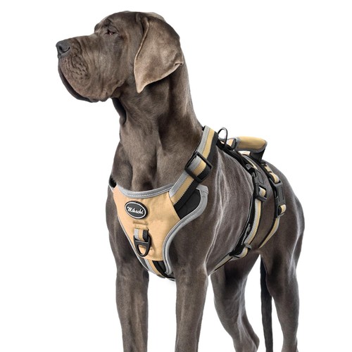Imbracatura per cani - cani, a