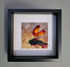 Pierluigi De Lutti  No Formichetti