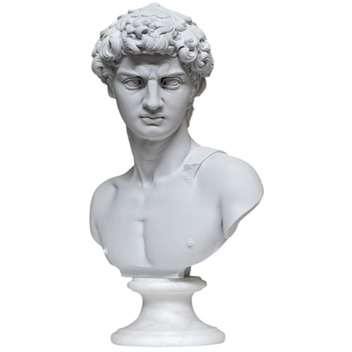 Busto david michelangelo - busto, di