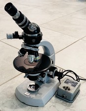 Microscopio polarizzatore