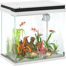 26L Acquario in Vetro per