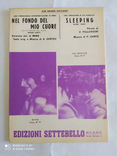 Mina nel fondo - mina, "nel
