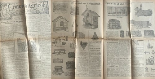 Cronaca agricola 1904 attrezzi - 1904,