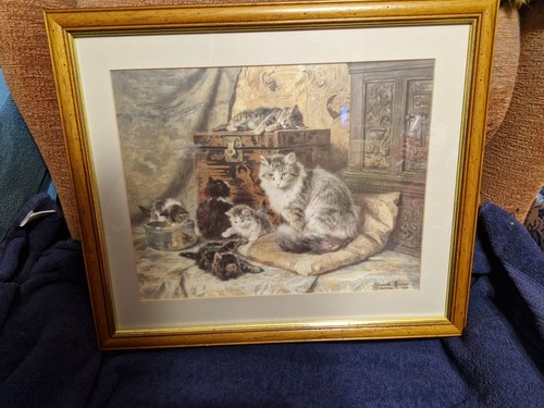Stampa gatto fine art madre - fine,