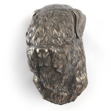 Terrier Nero Russo testa