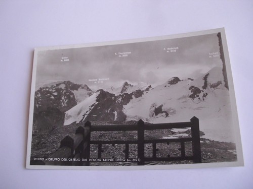 Sondrio stelvio gruppo - stelvio,