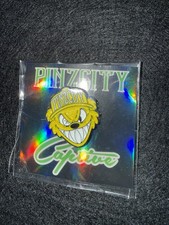 Spilla smaltata Pinzcity Scare