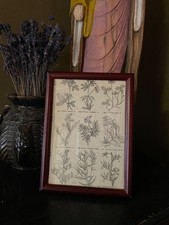1890iconographia florae - 1890iconographia,
