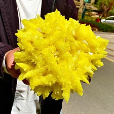 10,38LB Raro esemplare