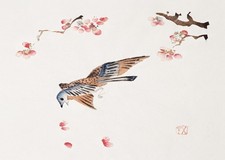 Elegante arte murale con