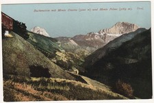 Faggio con Monte Civetta (3220