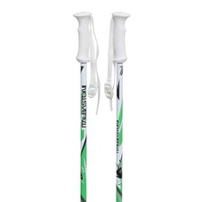 Nuovi bastoncini da sci alpini